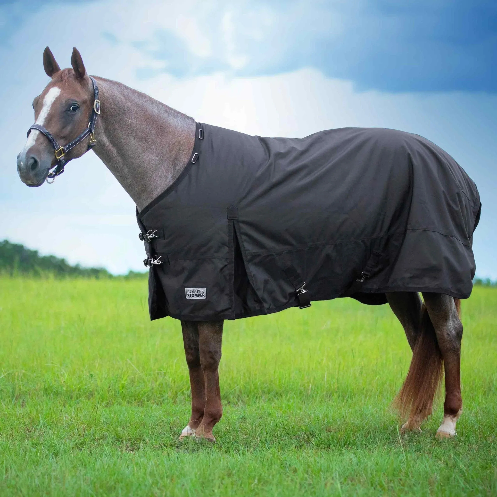 Jeffers Romper Stomper Turnout Sheet, 1680D